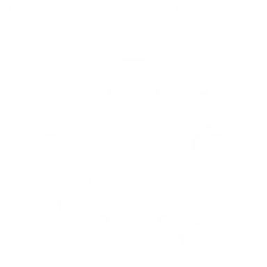 consultant